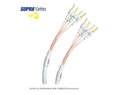 26343 1 vyr 6750 supra xl annorum bi amp combicon