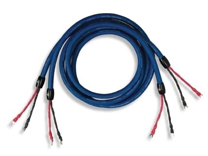 34098 car000069 clear cygnus spa