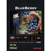 audioquest blueberry hdmi 1 0 m kabel hdmi hdmi