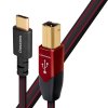 7851 2 audioquest cinnamon usb b na usb c 0 75 m