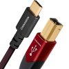 7851 3 audioquest cinnamon usb b na usb c 0 75 m