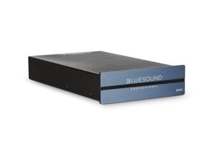 bluesound professional b100s Image1 big ies100016335