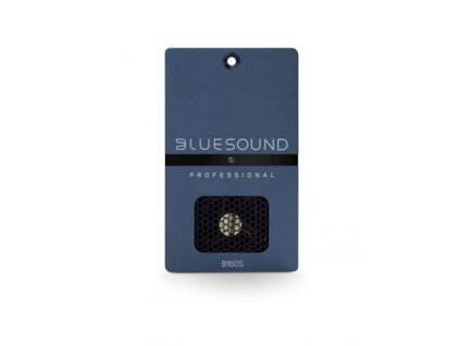 Bluesound Professional B160S
