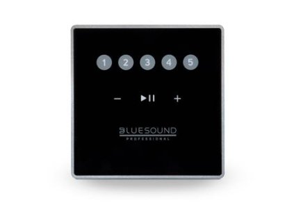 bluesound professional cp100 i17345