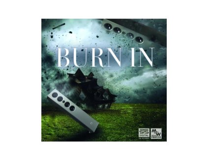 vyr 2556 STS Digital BURN IN