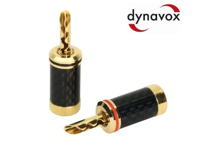 vyr 4449 Dynavox Speaker Carbon