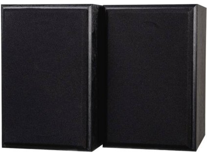 Dual LS 100 Active Monitor