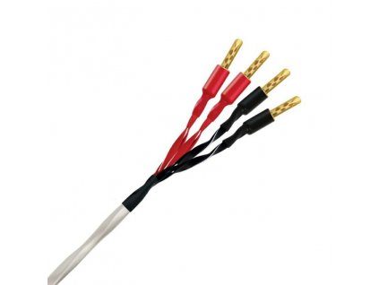 Wireworld SOLSTICE 8 (SOB)