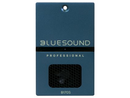 bluesound professional b170s i20035