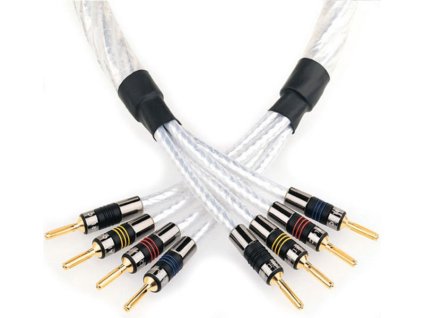 0f41f97e c39f 4dc3 98c0 9deab9b50175%2C800%2C600