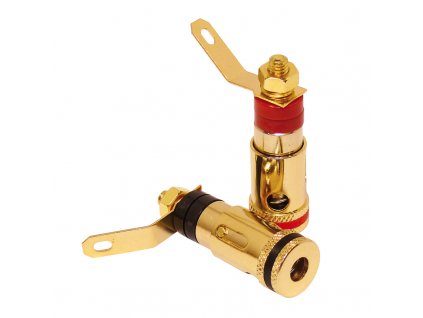 Dynavox Speaker Gold Terminal
