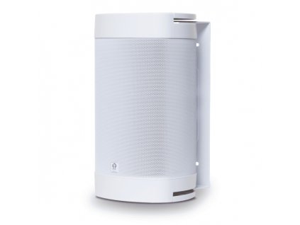 Origin Acoustics OS55DT
