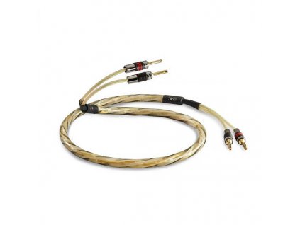 d9d49d15 e807 4592 bece bdbbd7e3028f%2C800%2C600