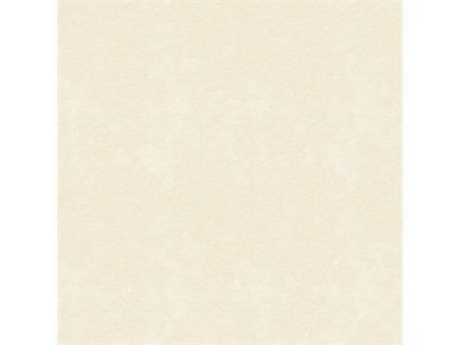 Artnovion Andrea - Absorber, FG | (T0273) Light Ivory, 6 ks (Barva Light Ivory)
