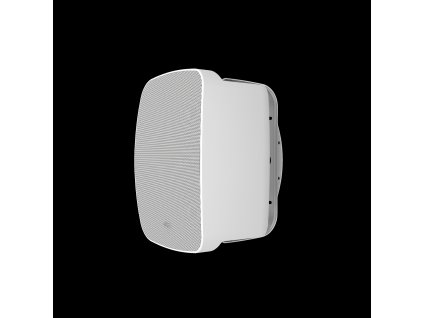 Klipsch PSM-650-T (Barva Bílá)