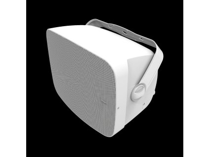 Klipsch RSM-800