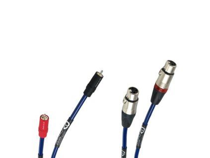 2rca 2xlr