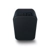 Bluesound PULSE FLEX 2i
