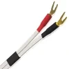 HOS10 Spd (1)