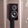 Dynaudio Special Forty (Barevné provedení Black Vine vysoký lesk)