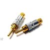 Sharkwire SDB-015GA Gold Sparkling