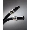 rpaudio gryphon vip interconect 1