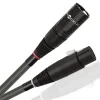 EQI10 XLR