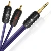 PUN RCA