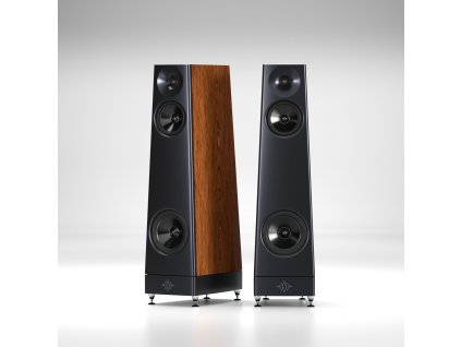 ascent rosewood v4b gallery