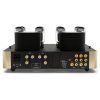 Fezz Olympia Dual Mono Amplifier
