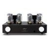 Fezz Olympia Dual Mono Amplifier