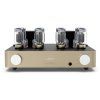 Fezz Olympia Dual Mono Amplifier