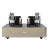 Fezz Mira Ceti Mono Power Amplifier