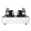 Fezz Mira Ceti Mono Power Amplifier