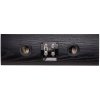 F500C Rear Black center channel