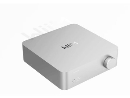 vyr 2151WiiM Vibelink 013