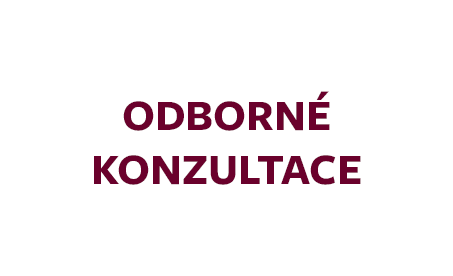 konzultace
