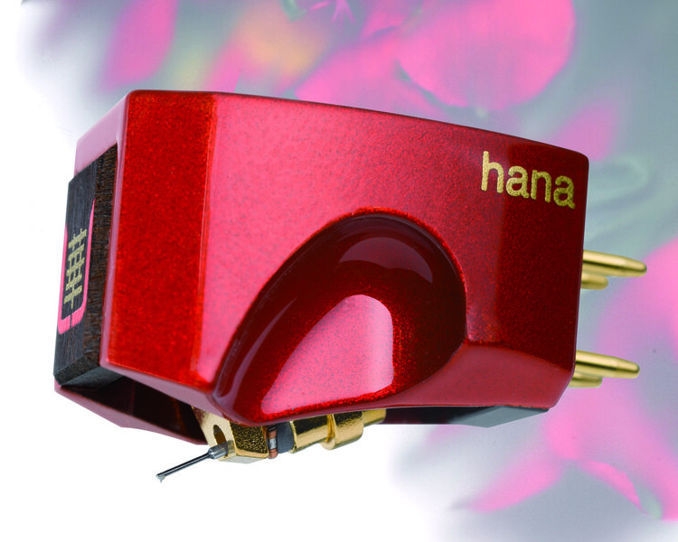 _0004_HANA+UR+FLWRBG+800X1000