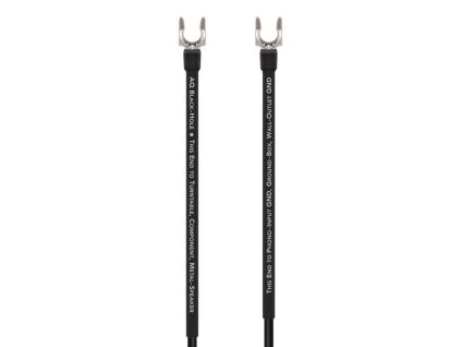 audioquest black hole groundgoody zemnici vodic ke gramo hifisafir 1