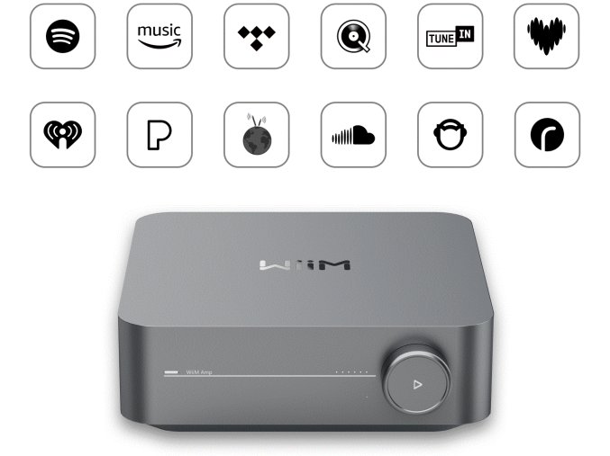 WiiM Amp Pro