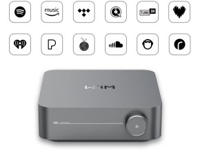 WiiM Amp Pro