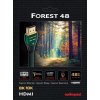 audioquest forest 48 hdmi kabel HIFISAFIR 04