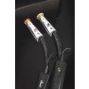 audioquest dragon interconnect rca (3)
