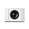 bluesound pulse sub subwoofery HiFi Safir 22