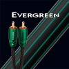 AudioQuest EVERGREEN (RR)