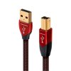 audioquest cinnamon usb a b kabely hifisafir 1