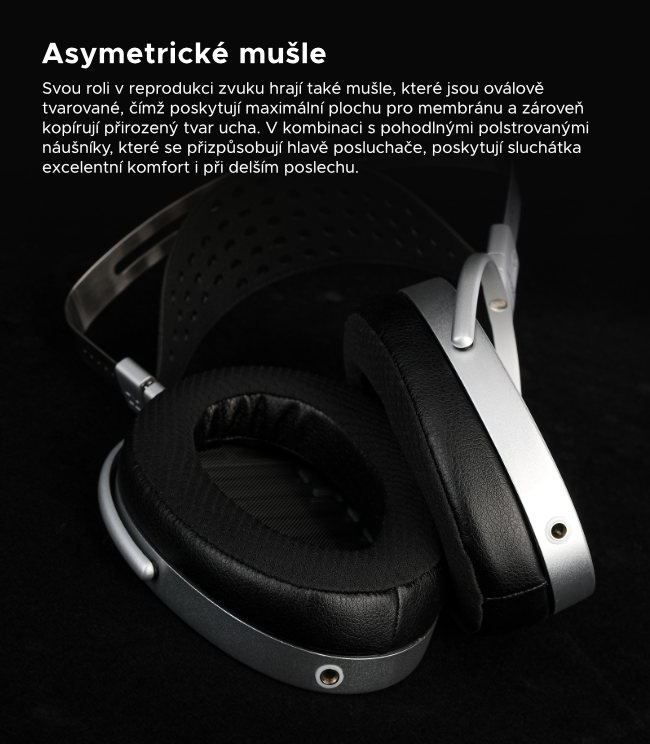 Hifiman_HE1000_Unveiled_web_9
