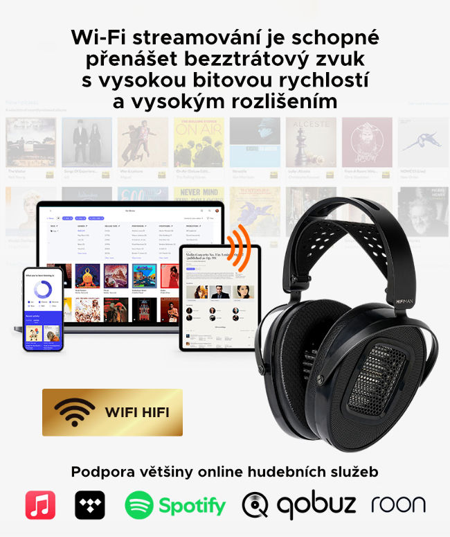 HiFiman_Arya_wifi_3