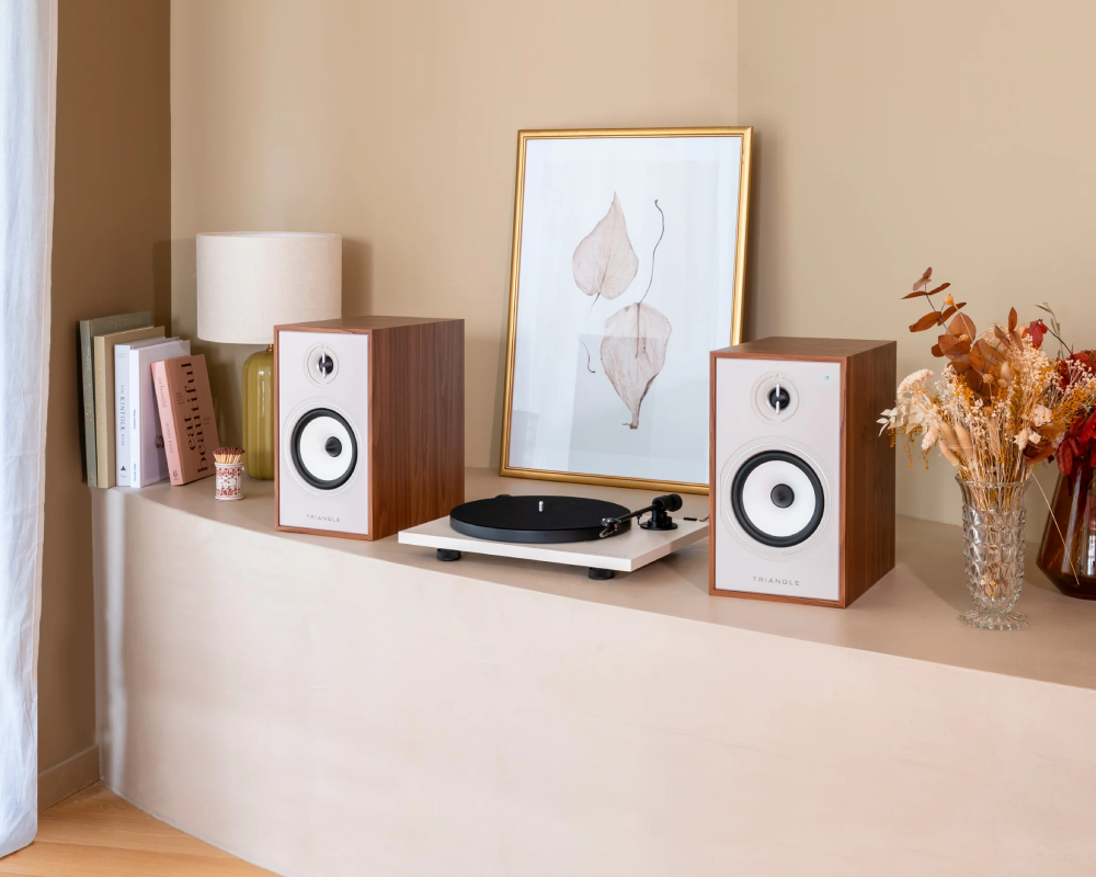 Triangle_Borea_Connect_web_phono