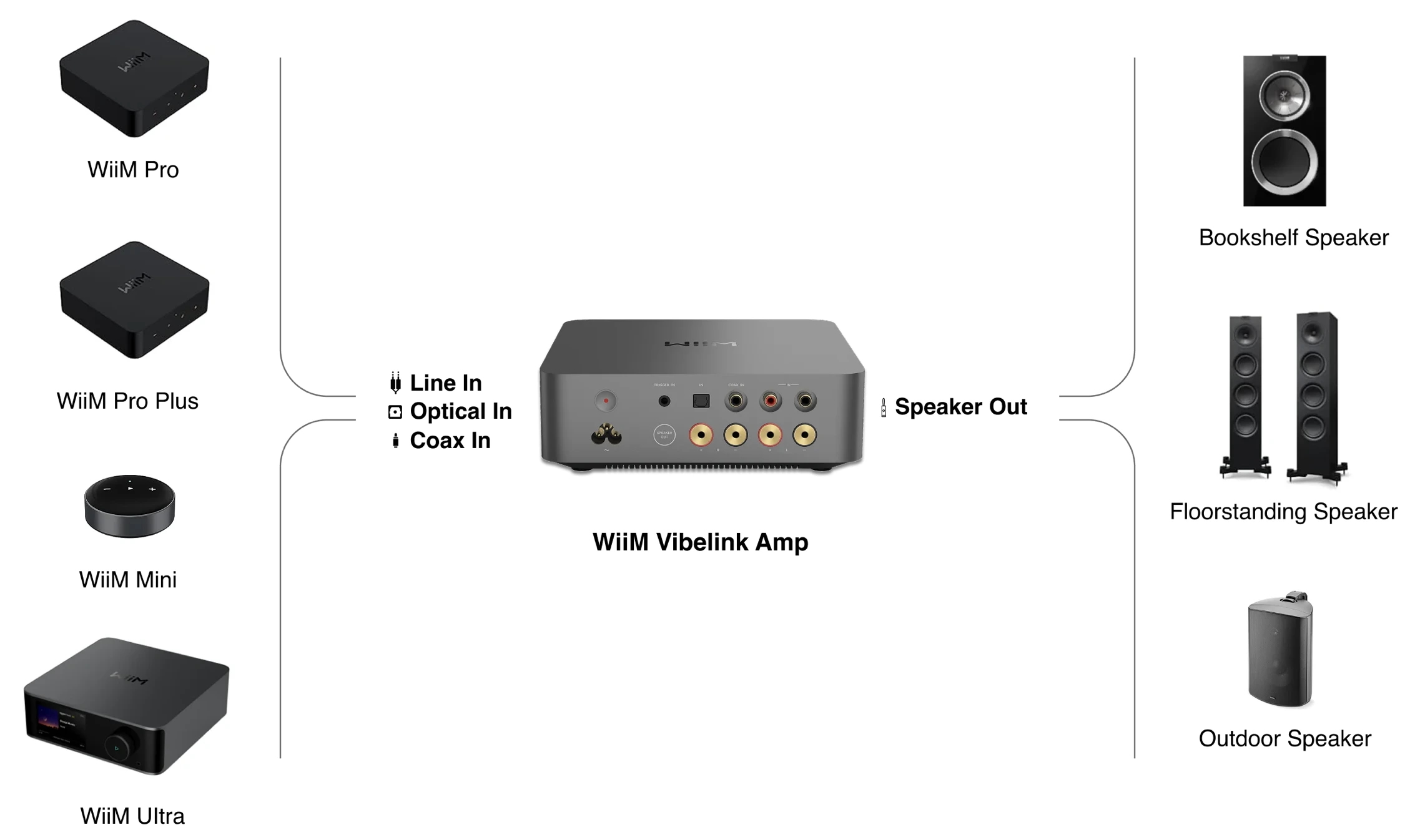 Wiim_Vibelink_web2